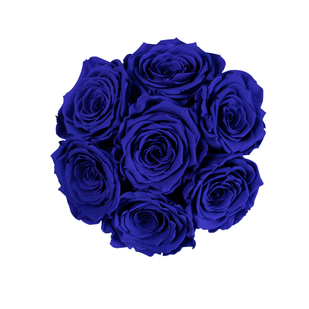 Blå rosor | Basic dome Tusen rosor