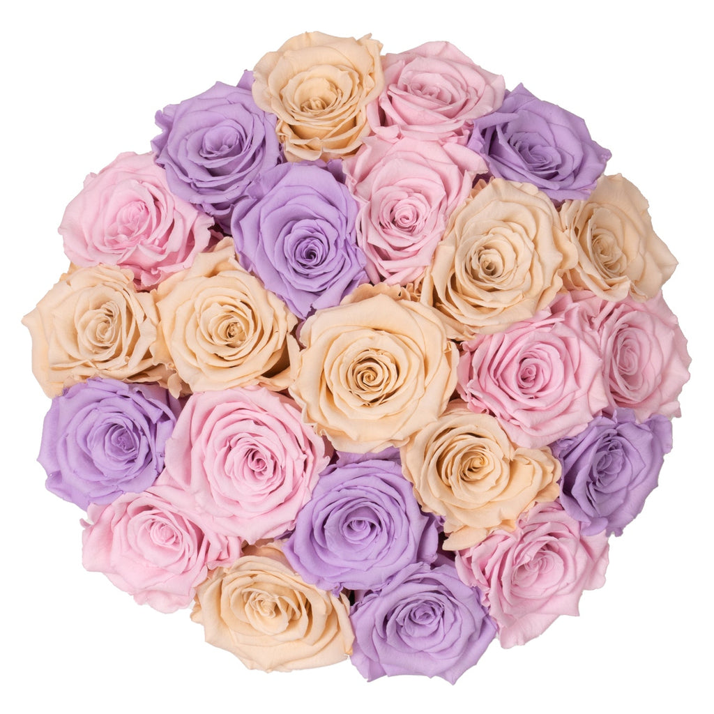 Pastell rosor | Classic dome box Tusen rosor