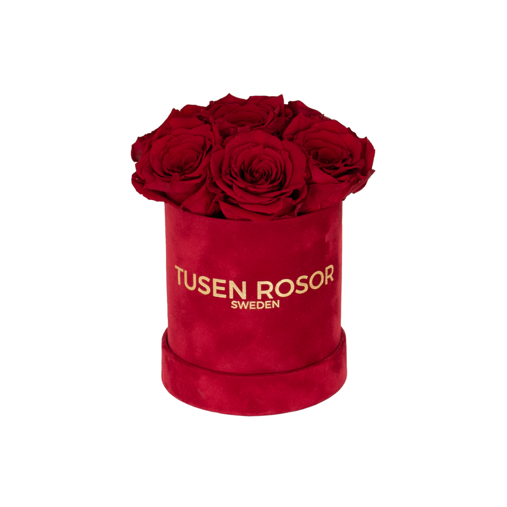 Röda rosor | Basic dome Tusen rosor