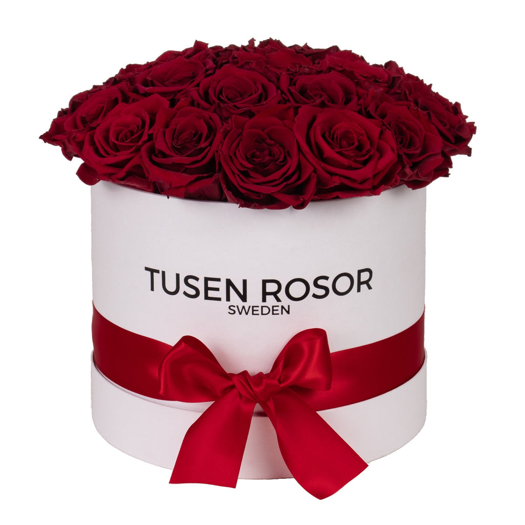 Röda rosor | Classic dome box Tusen rosor